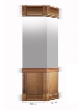 Президент панели