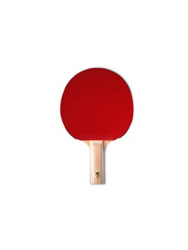 Ракетка Gambler ZEBRAWOOD CLASSIC VOLT M (прямая)